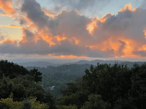 Lincolnton Stump Grinding