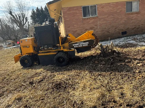 Stump Grinding Lenoir