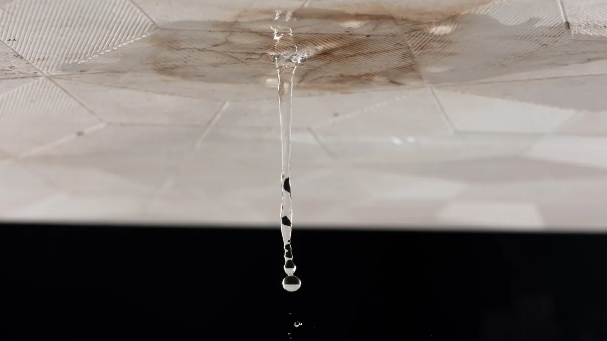 Leak Detection by Leak Patrol