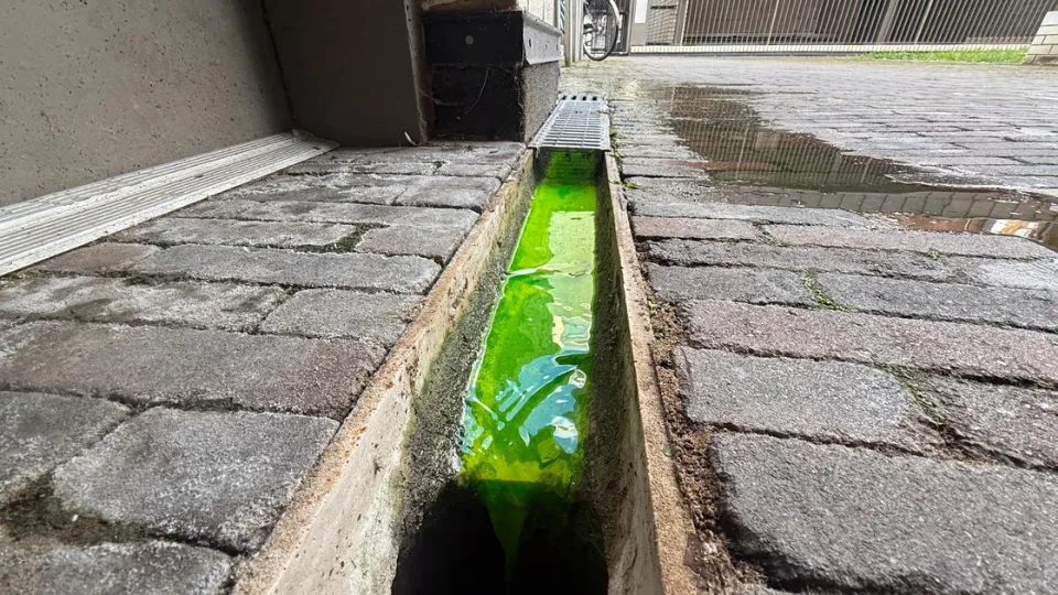 Professional Leak Detection service by Leak Patrol