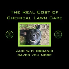 The Real Cost of Chemical Lawn Care (And Why Organic Saves You More)