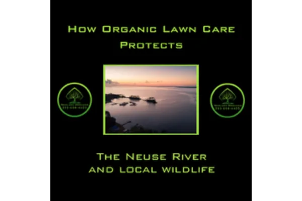 How Organic Lawn Care Protects the Neuse River and Local Wildlife