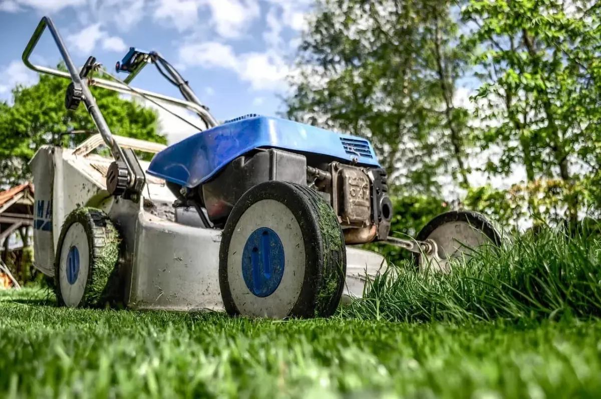 lawn maintenance