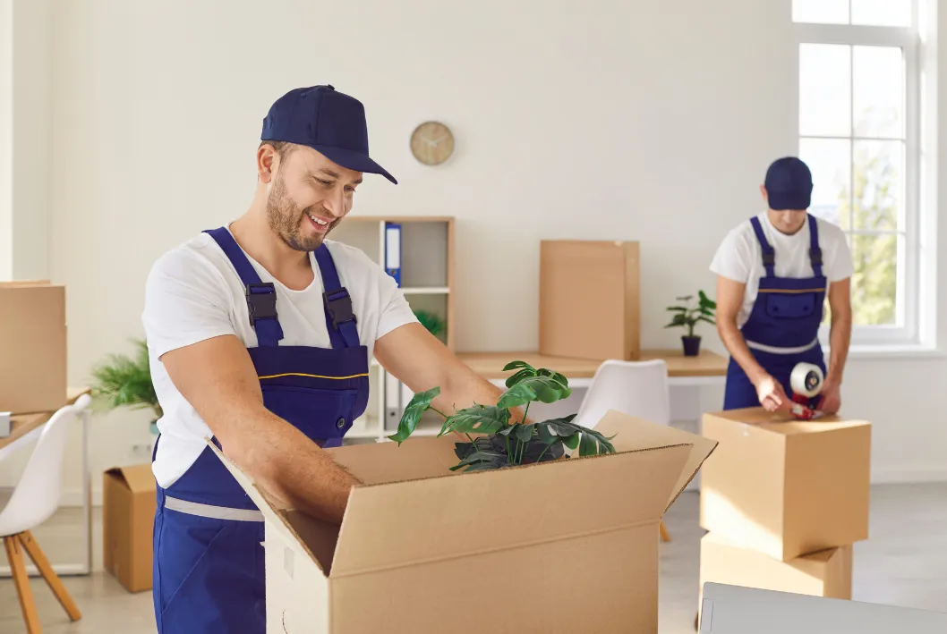 Leistungen