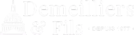 Logo Franck Demeilliers