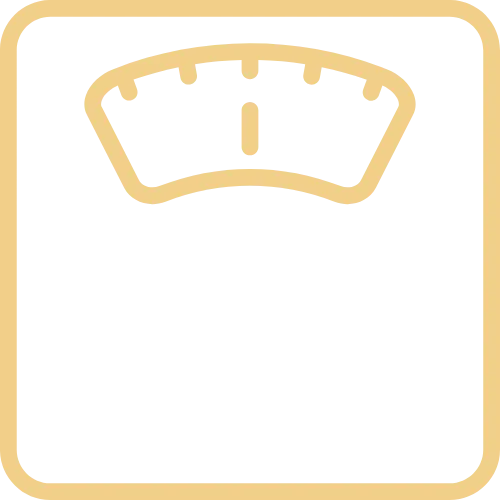 Graphic explaining the Three Pillars: Medical Support, Scientific Timing, Lifestyle Systems