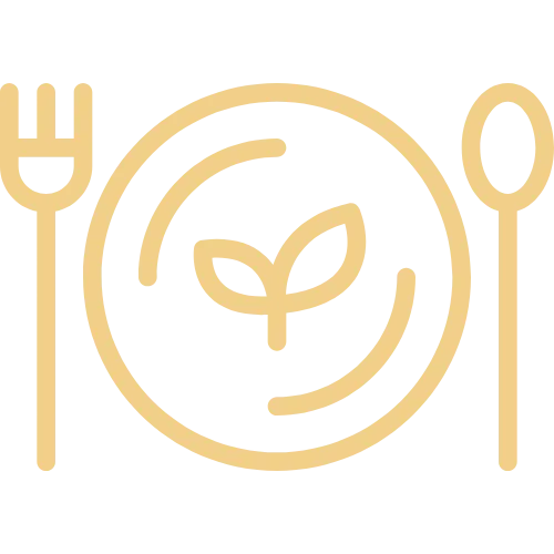 Graphic explaining the Three Pillars: Medical Support, Scientific Timing, Lifestyle Systems