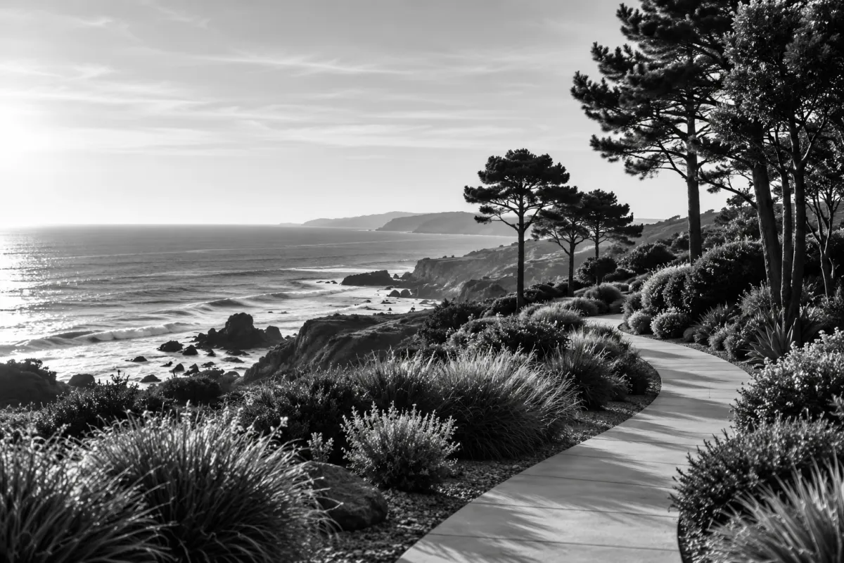 Serene Monochrome Coastal Path