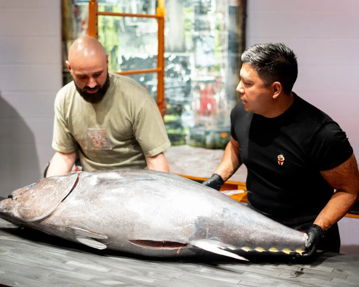 group of people during daytime