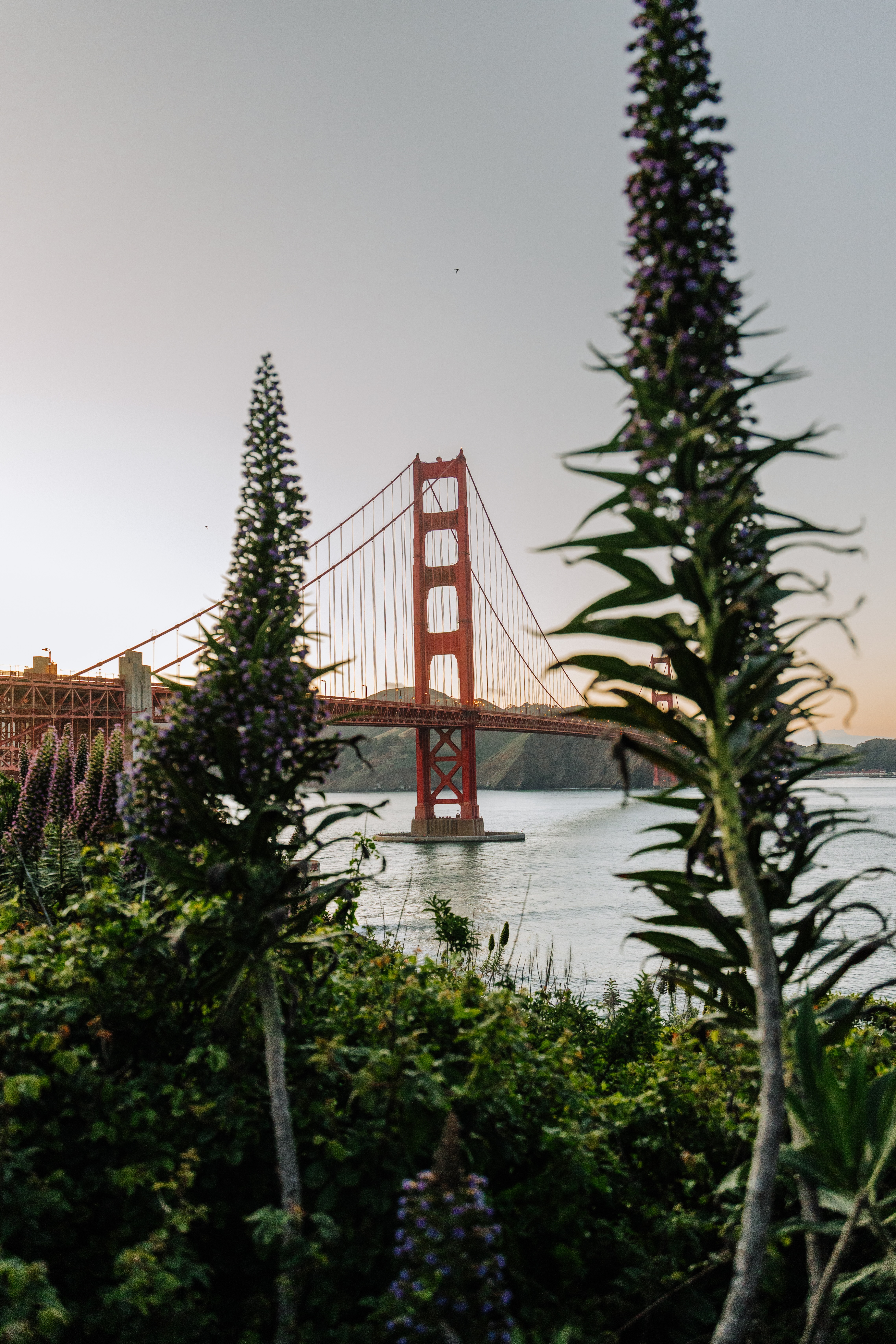 San Fran Golden Gate