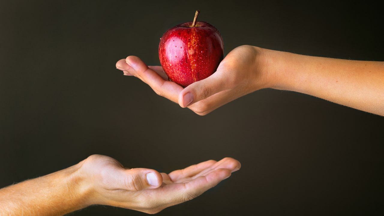 Psalm 51:5 Explained: We Are NOT Born Sinners With A Sin Nature.