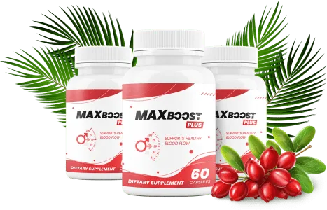 Maxboost