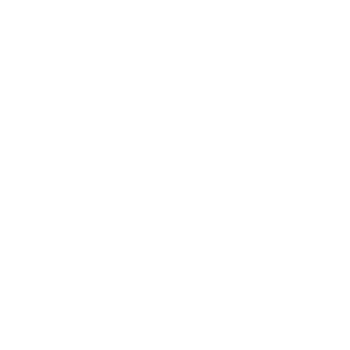 Computer video-chat icon