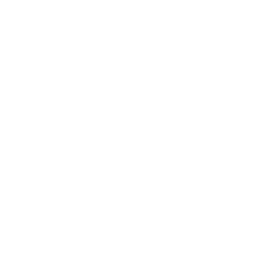 Computer system icon