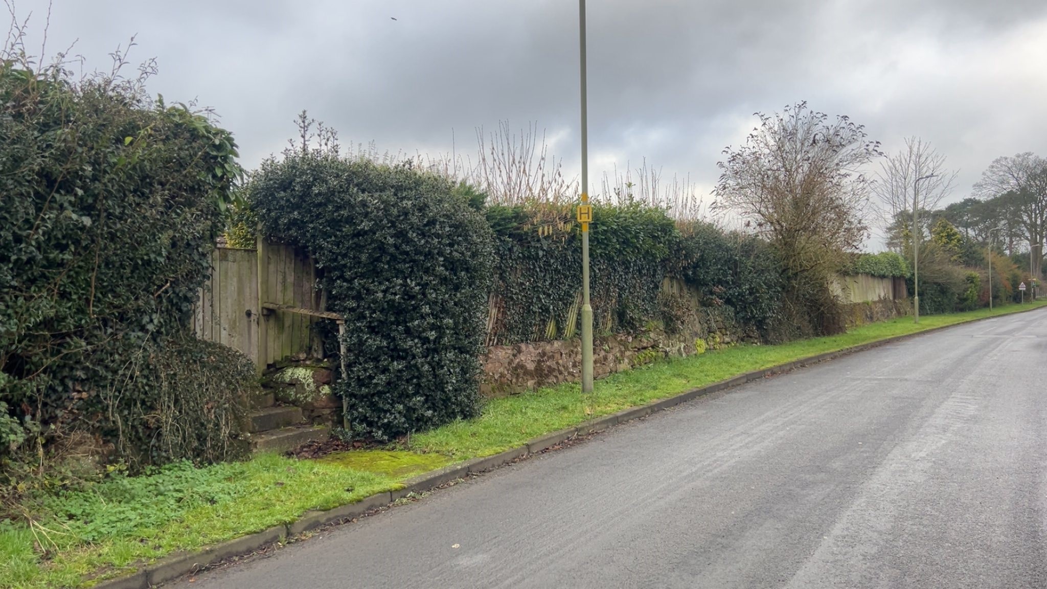Hedge Trimming in Market Drayton