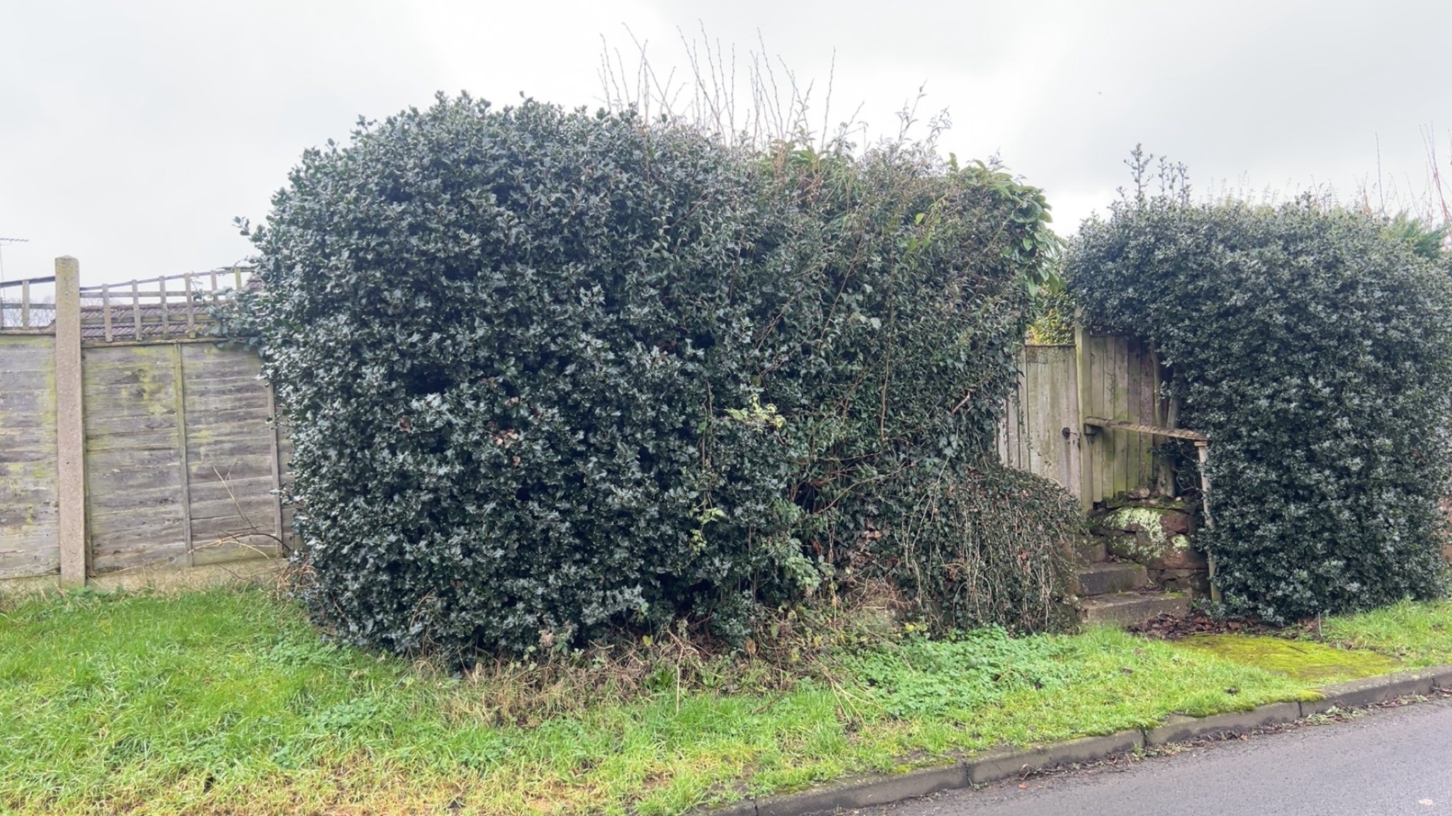 Hedge Trimming in Shropshire