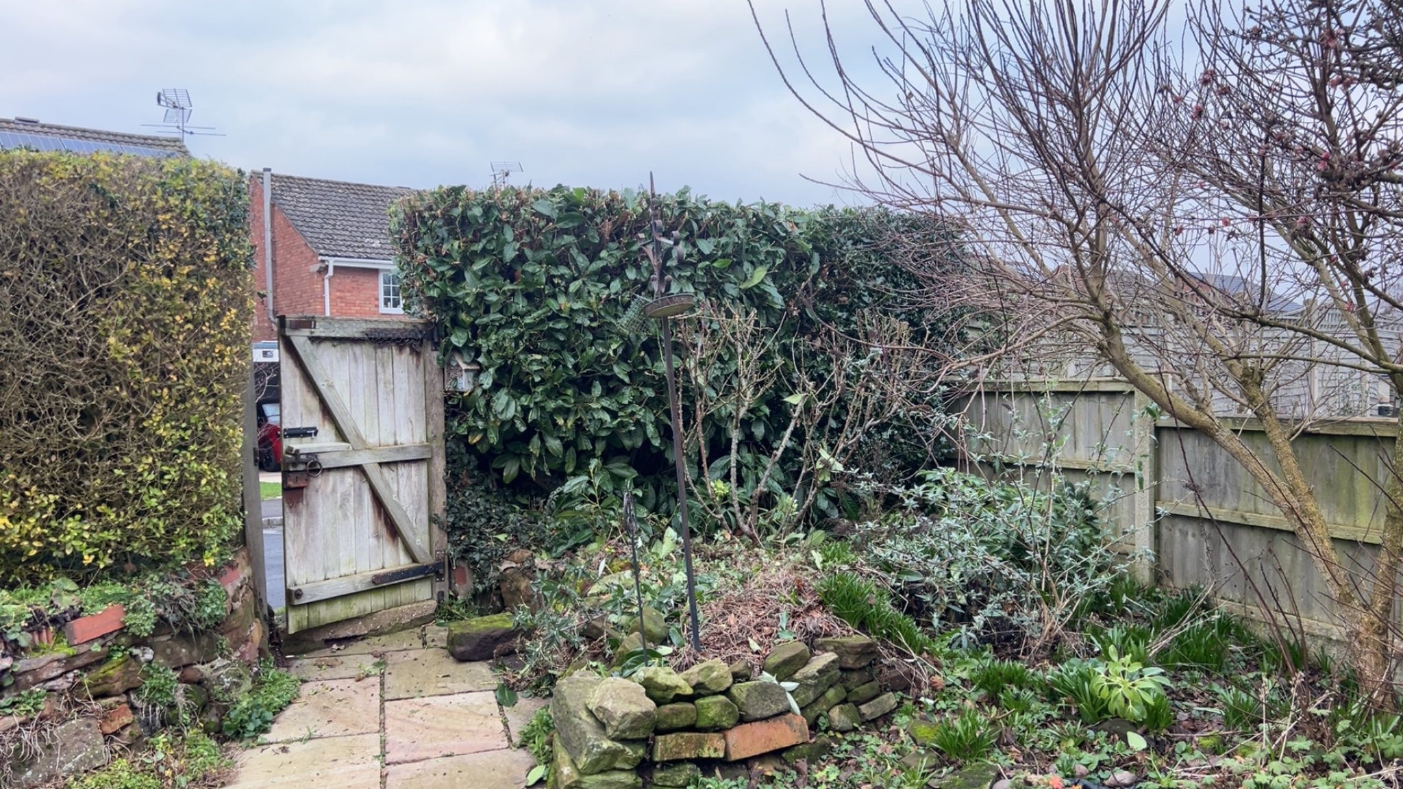 Hedge Trimming in Telford