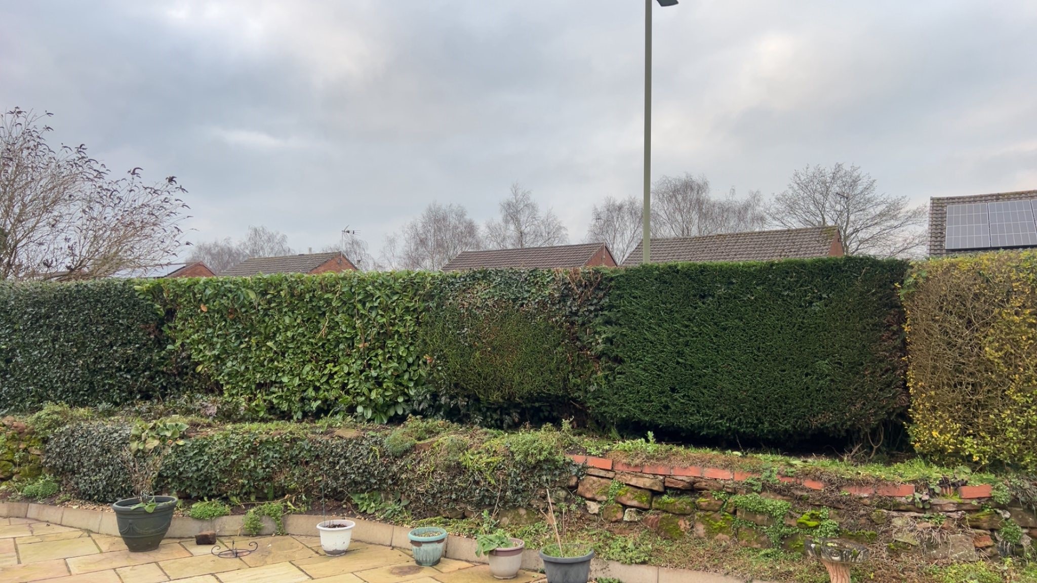 Hedge Reductions in Shropshire