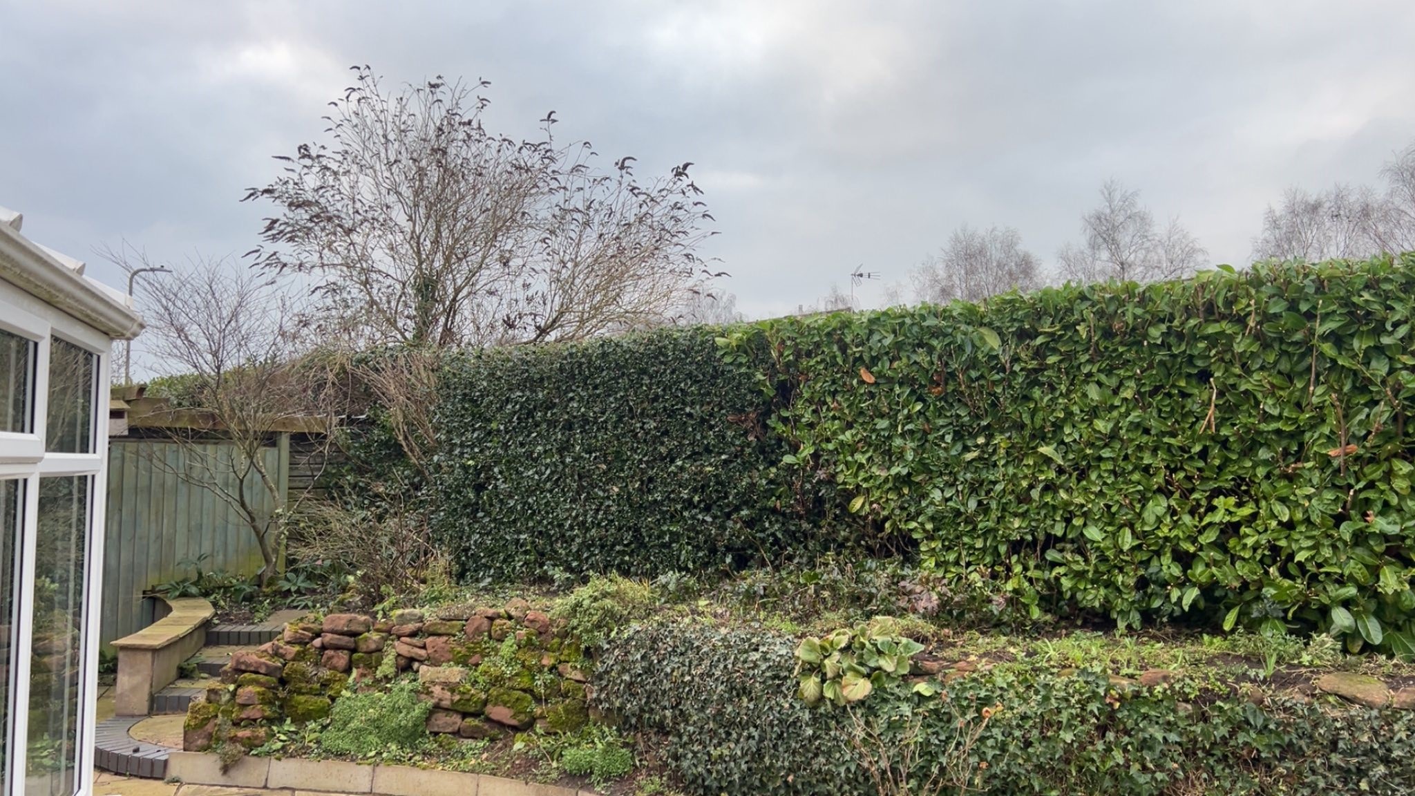Hedge Reductions in Telford