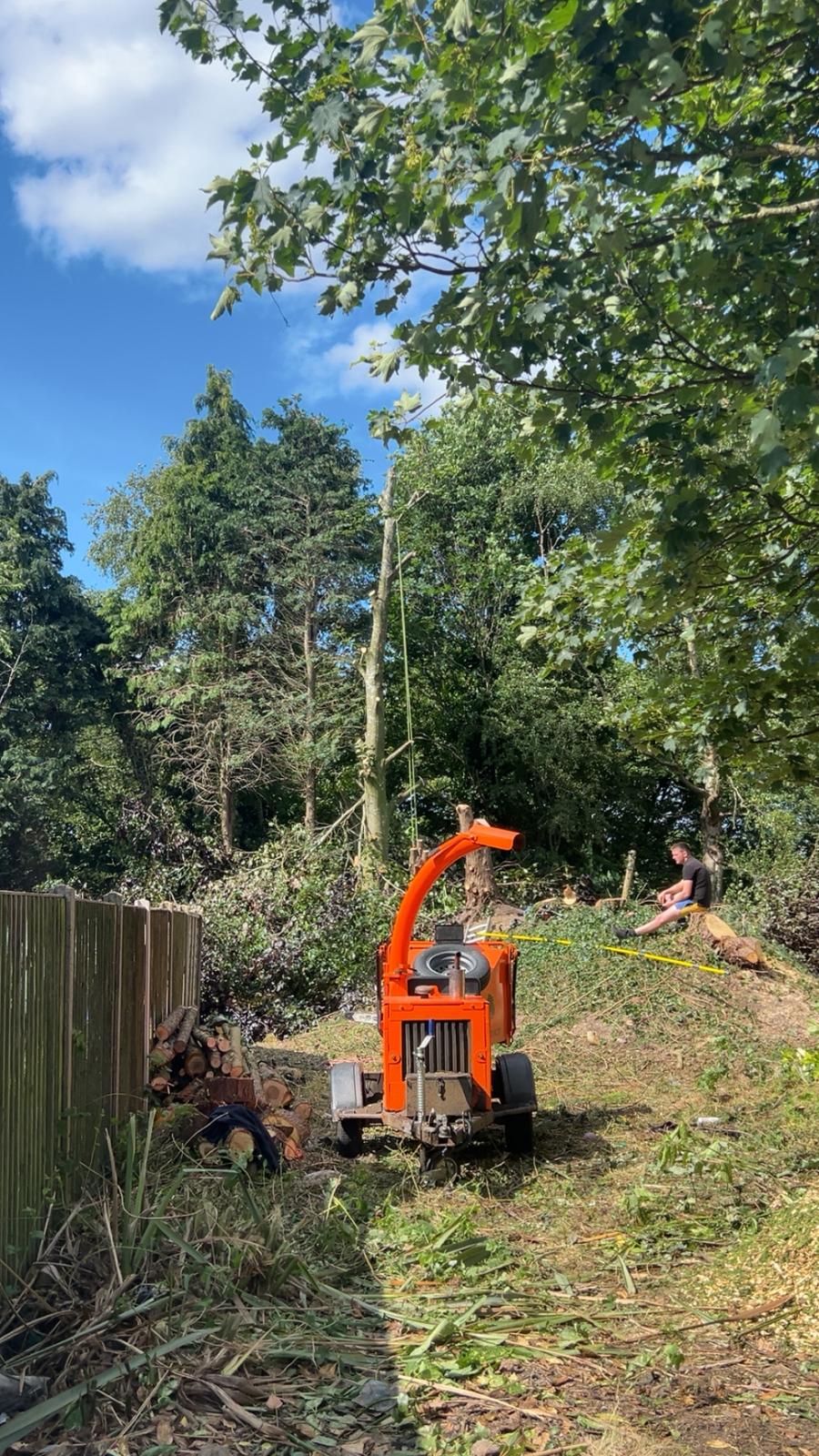 Stump Grinding in Market Drayton