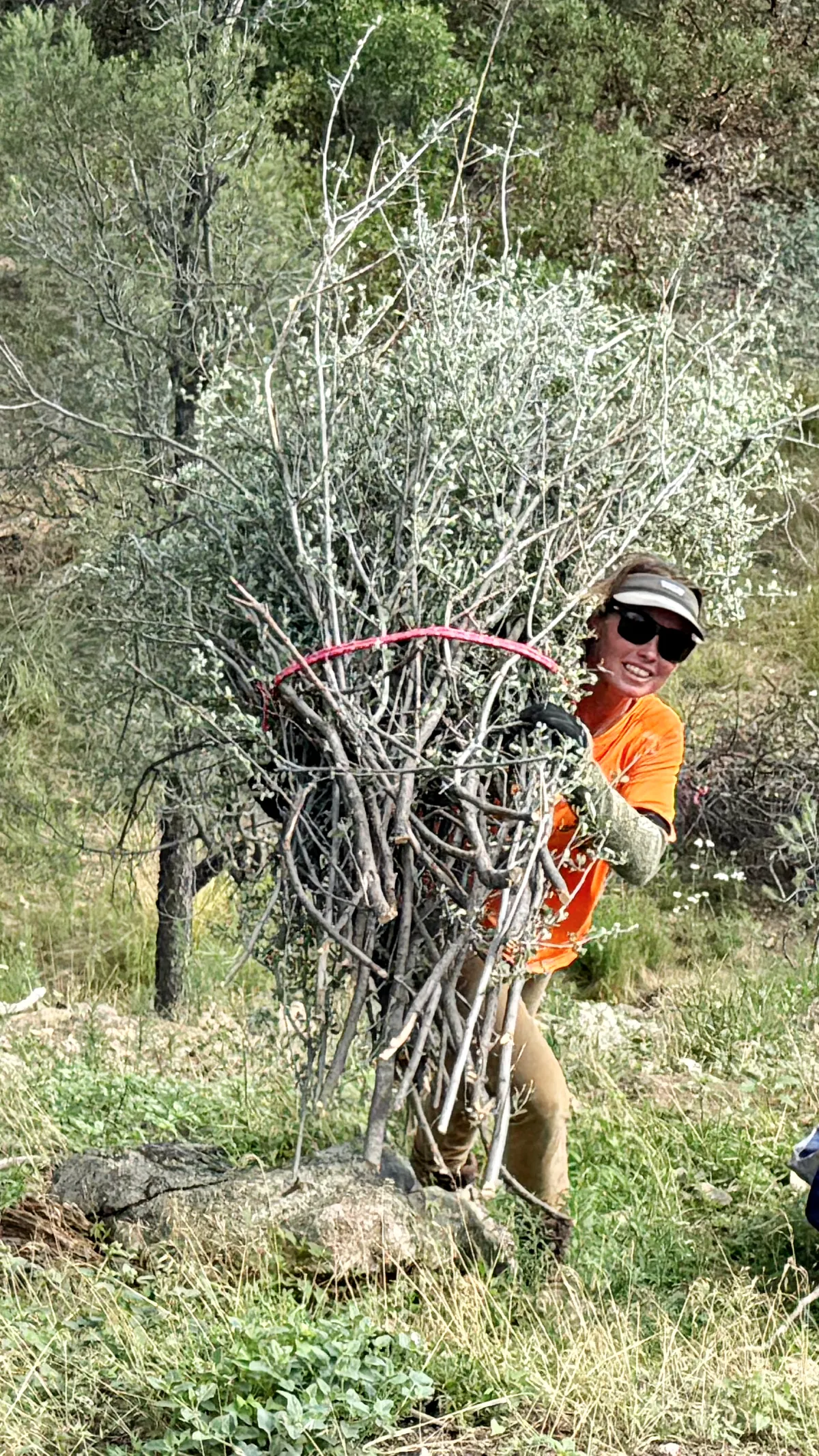 Landscaper clearing brush and branches from a yard, showcasing efficient yard clearing and brush removal services by Country Girl Landscaping