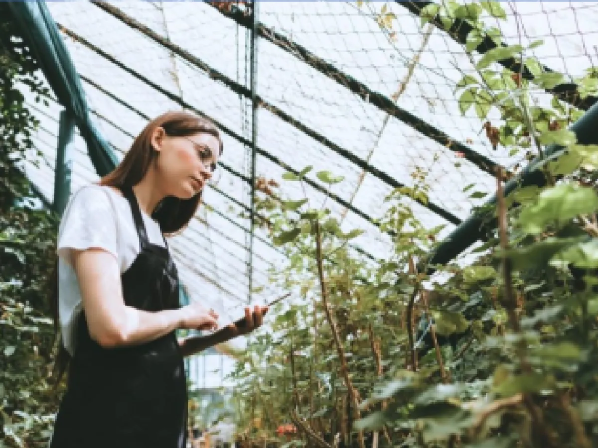 Landscape designer inspecting plants in a greenhouse, planning custom landscaping projects tailored to client needs by Country Girl Landscaping.