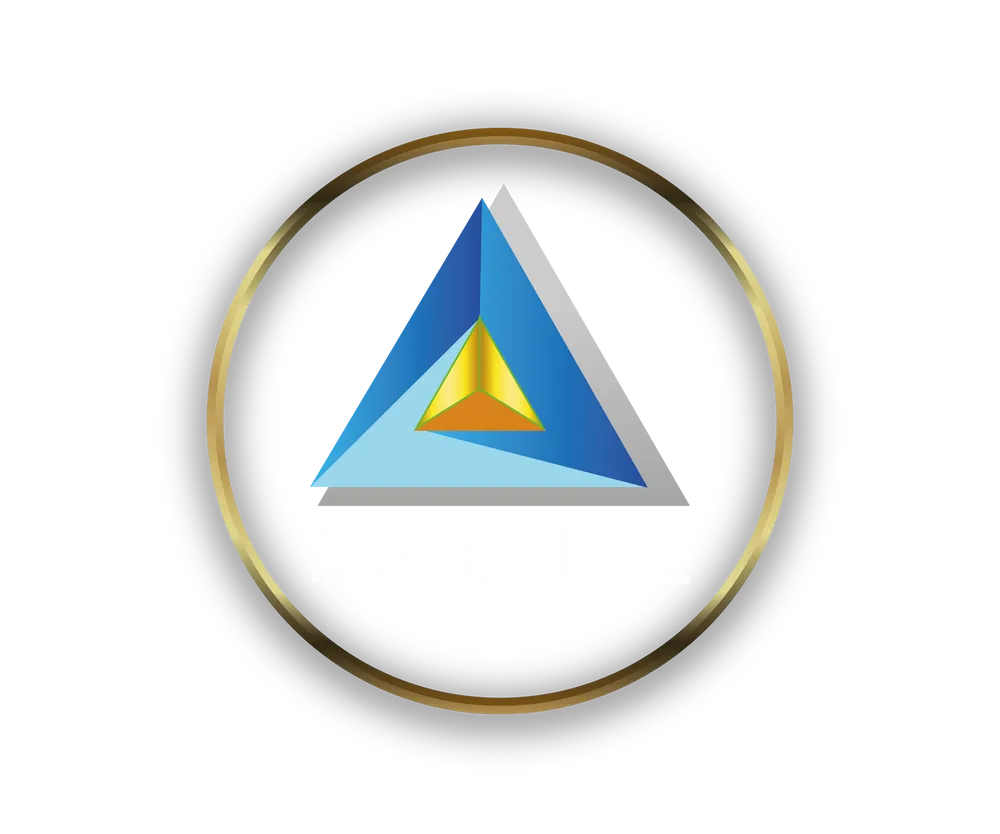 MS Digital Marketing Agency