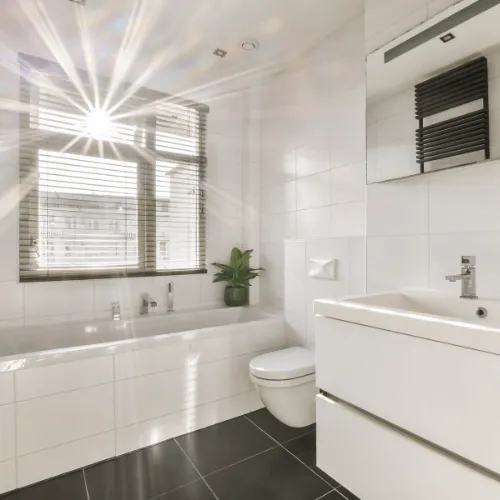 septic system repair near me