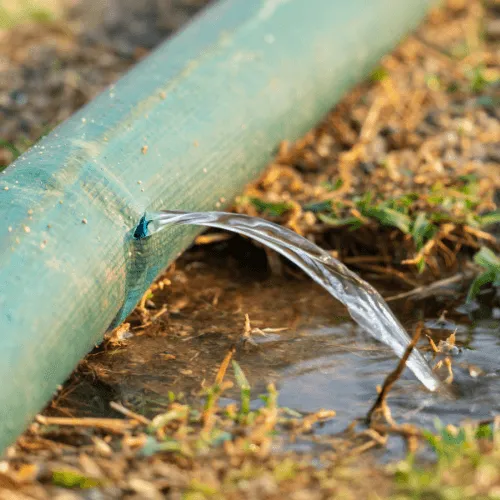 who can fix my waterline