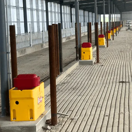 livestock water help murray county