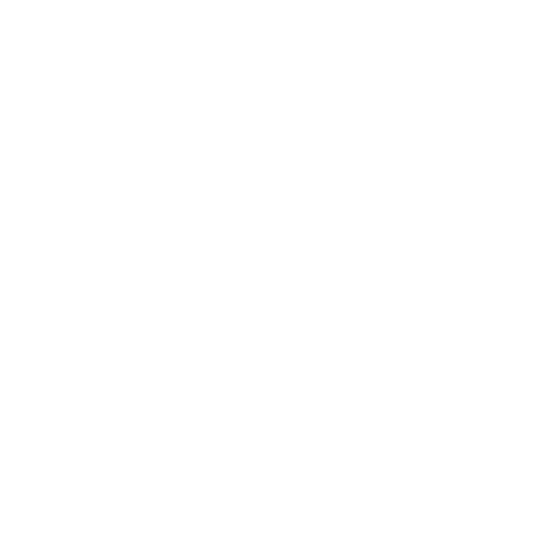 Shoreline capital