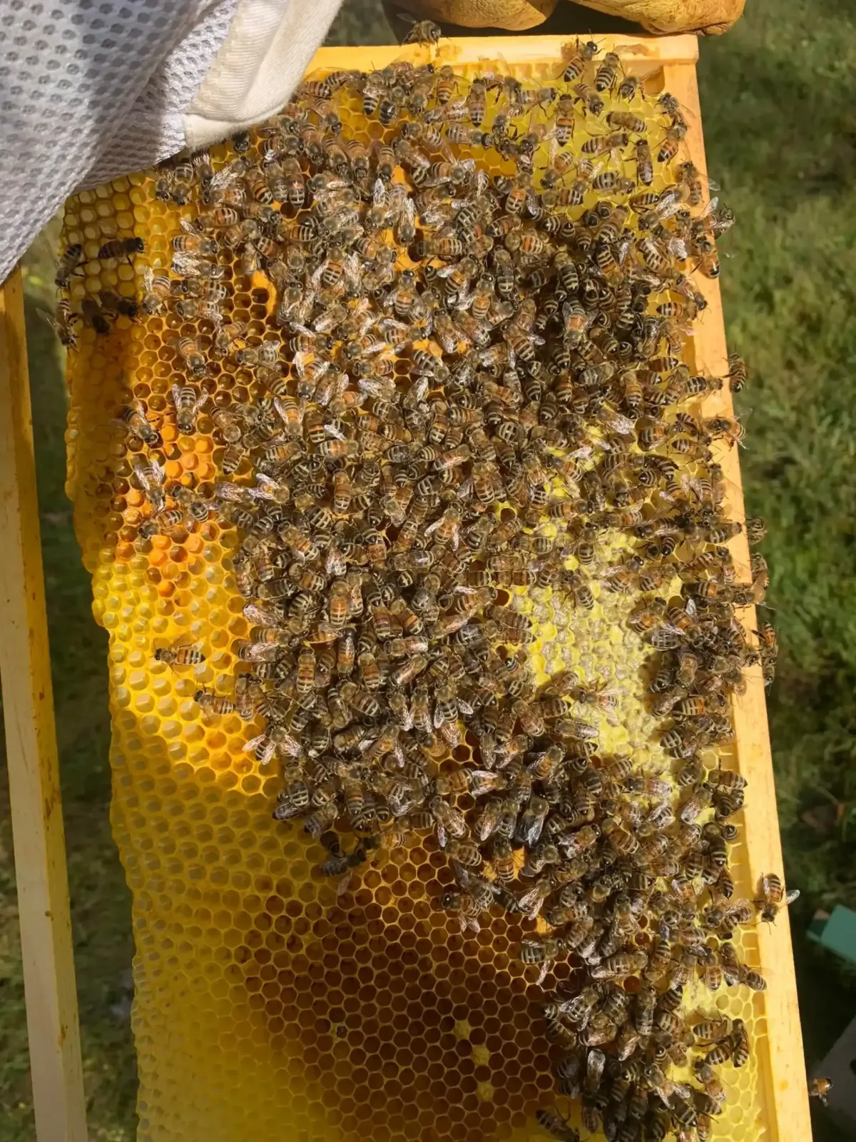 5 reasons to choose spray foam insulation for your house