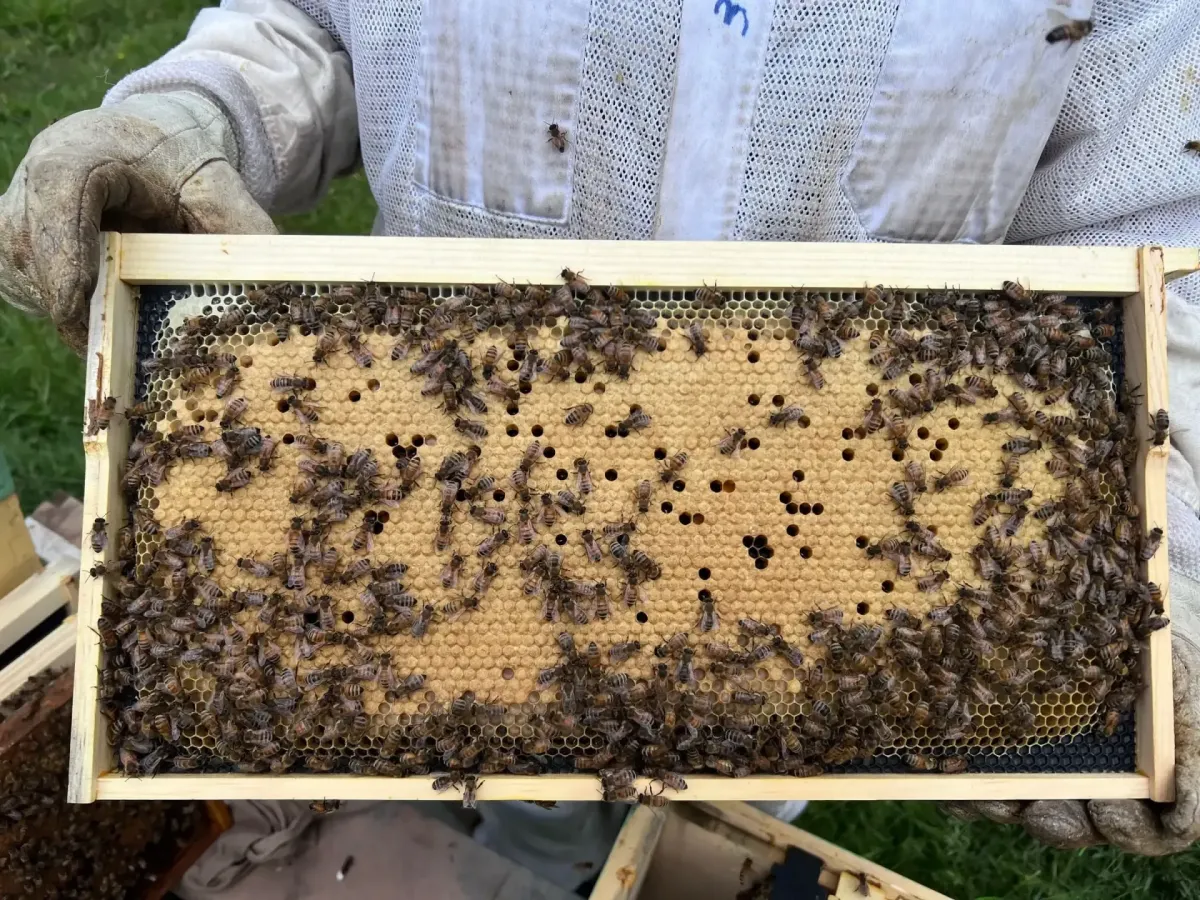 Spray Foam Insulation Gilbertsville, PA