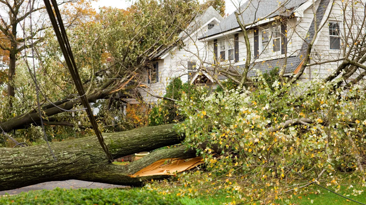 Storm damage in lorida