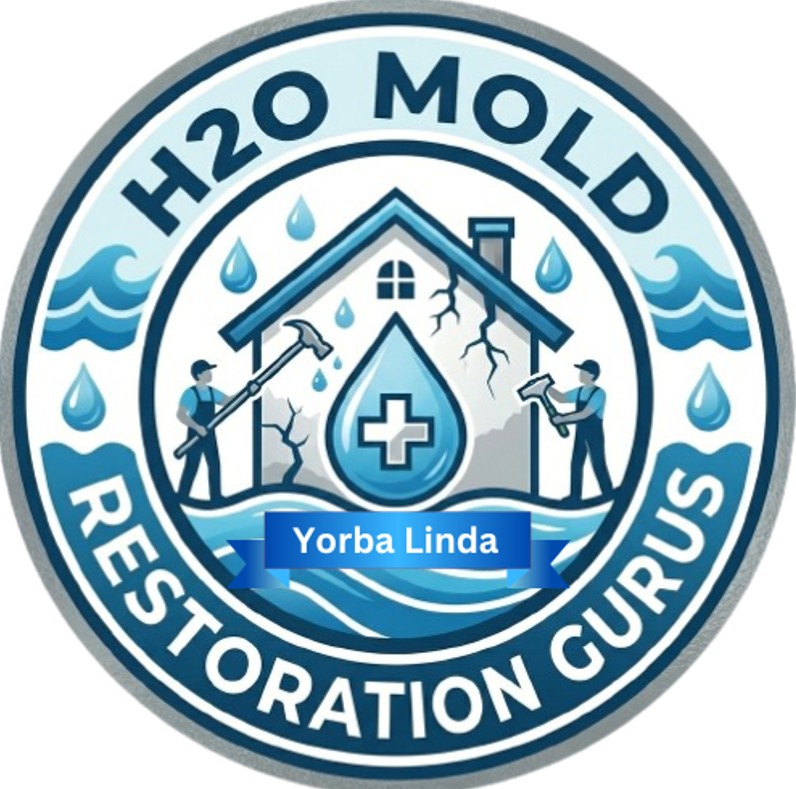 logo for H2O Mold Restoration Gurus of Tustin