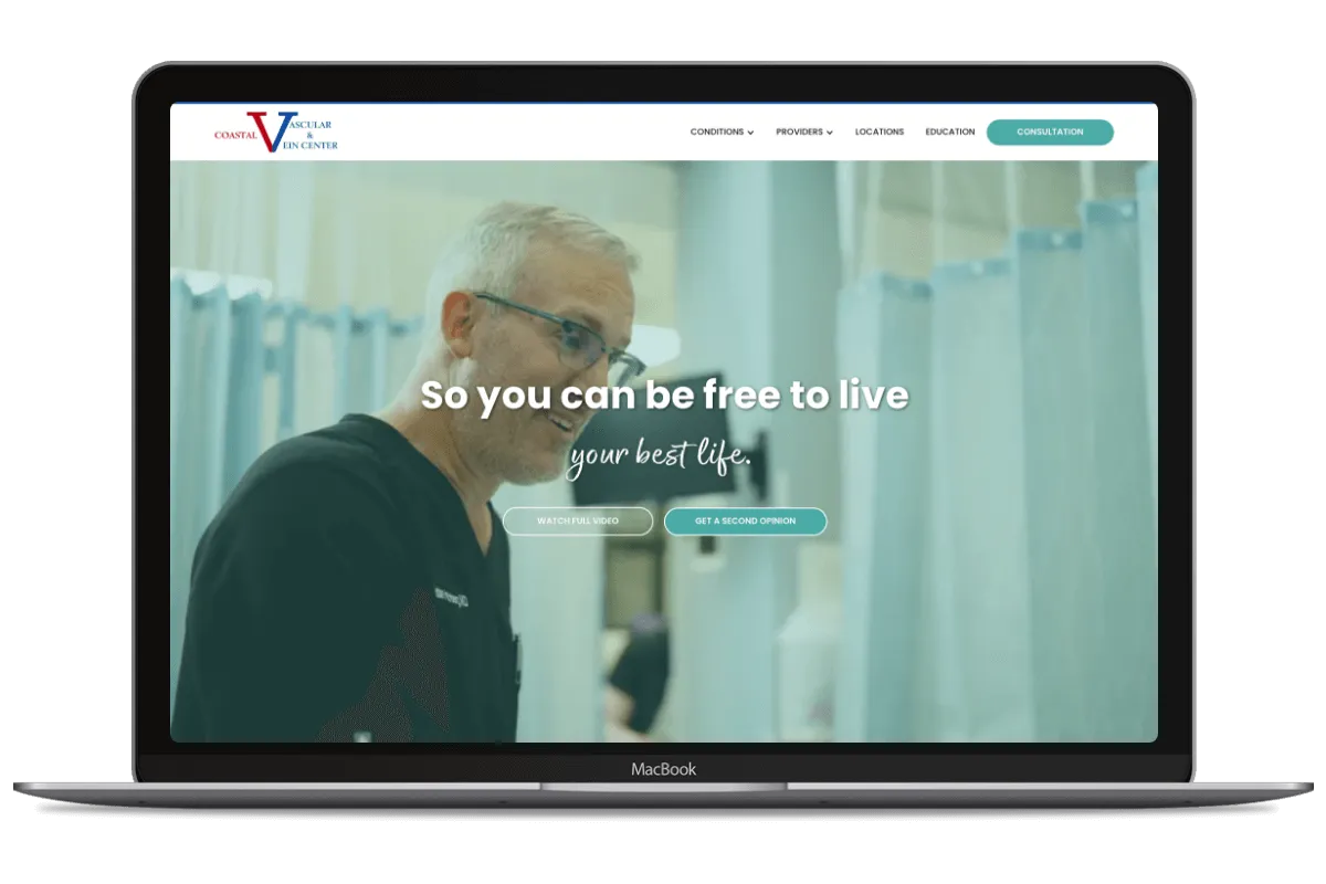 World Cat of South Florida website image