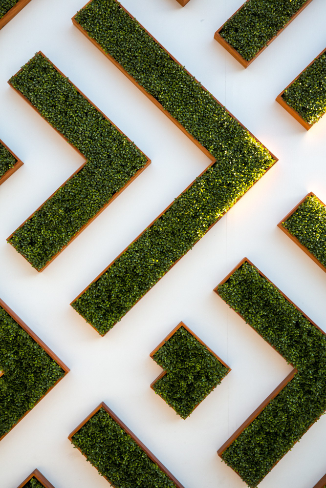 The Garden Was Structured: How Environment Shapes Performance in Business Systems