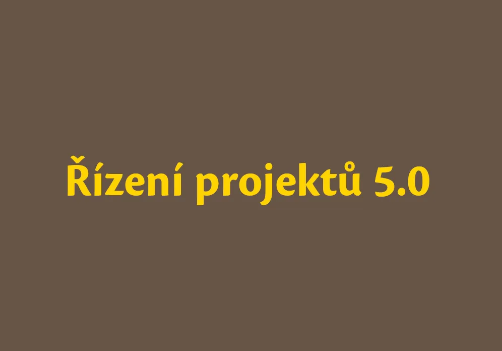 Rizeni projektu napis