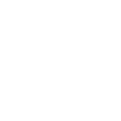 Flipping Roman Logo