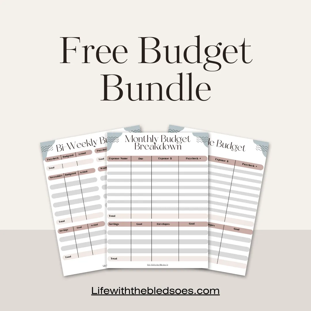 Image that has free budget bundle and pictures of the bundle