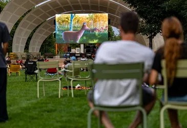 Outdoor movie night