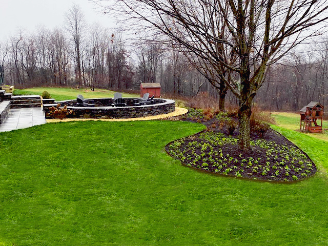 a field of green grass with wind turbines in the background
