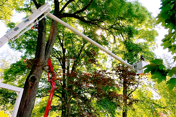 photo of truss towers