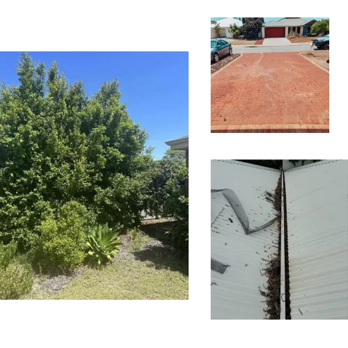 Property Maintenance Ellenbrook