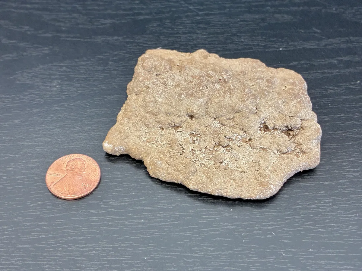 chunk of struvites taken out of a tank cleaning