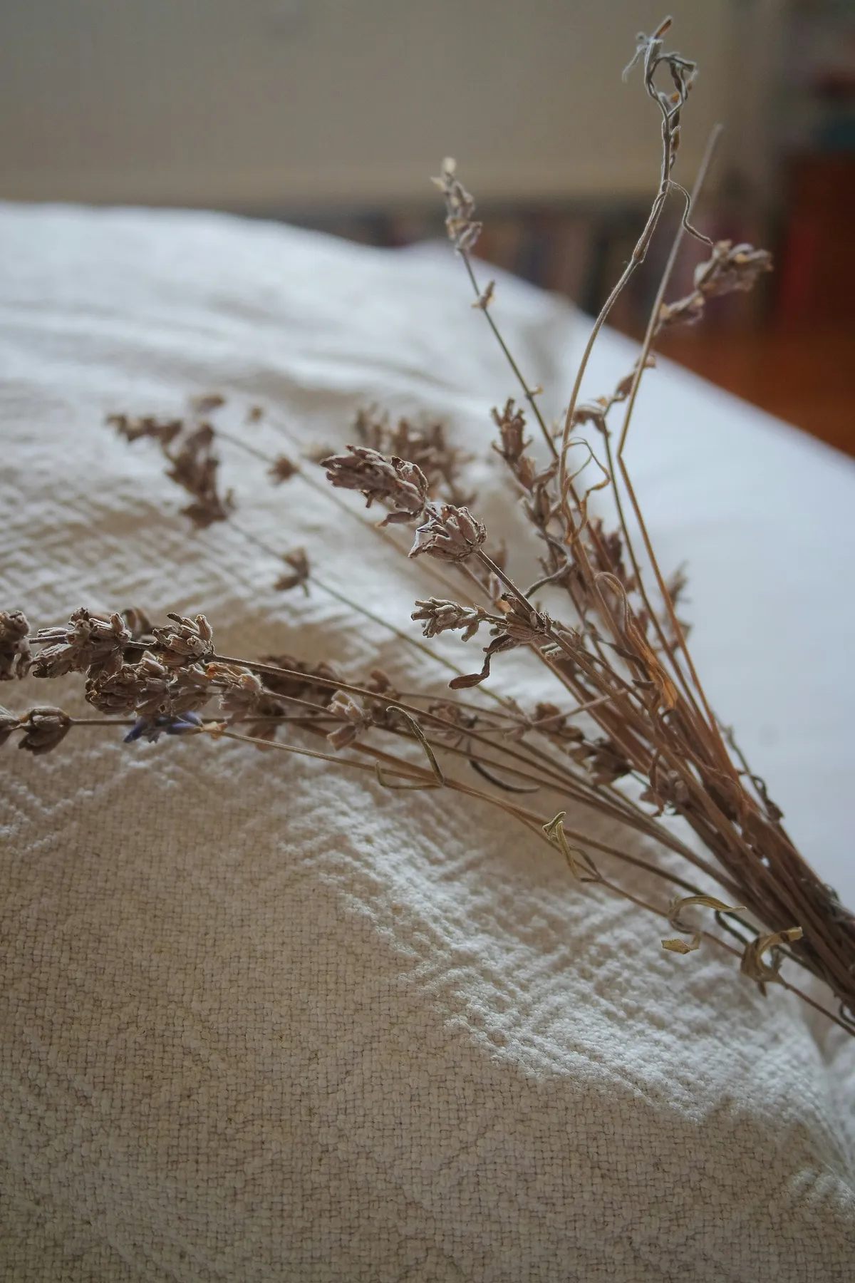 Dried wildflowers resting on soft linen, a calm natural wellness moment