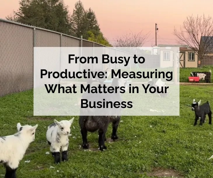 From Busy to Productive: Measuring What Matters in Your Business