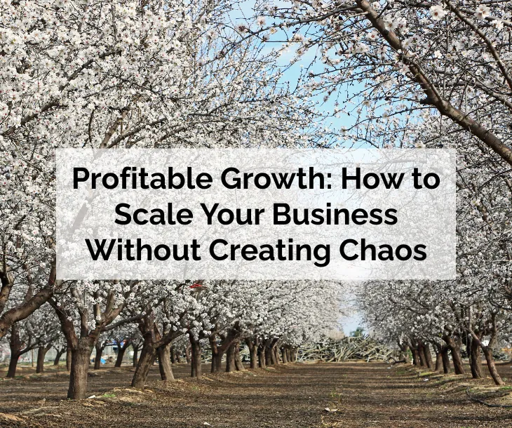 Profitable Growth: How to Scale Your Business Without Creating Chaos