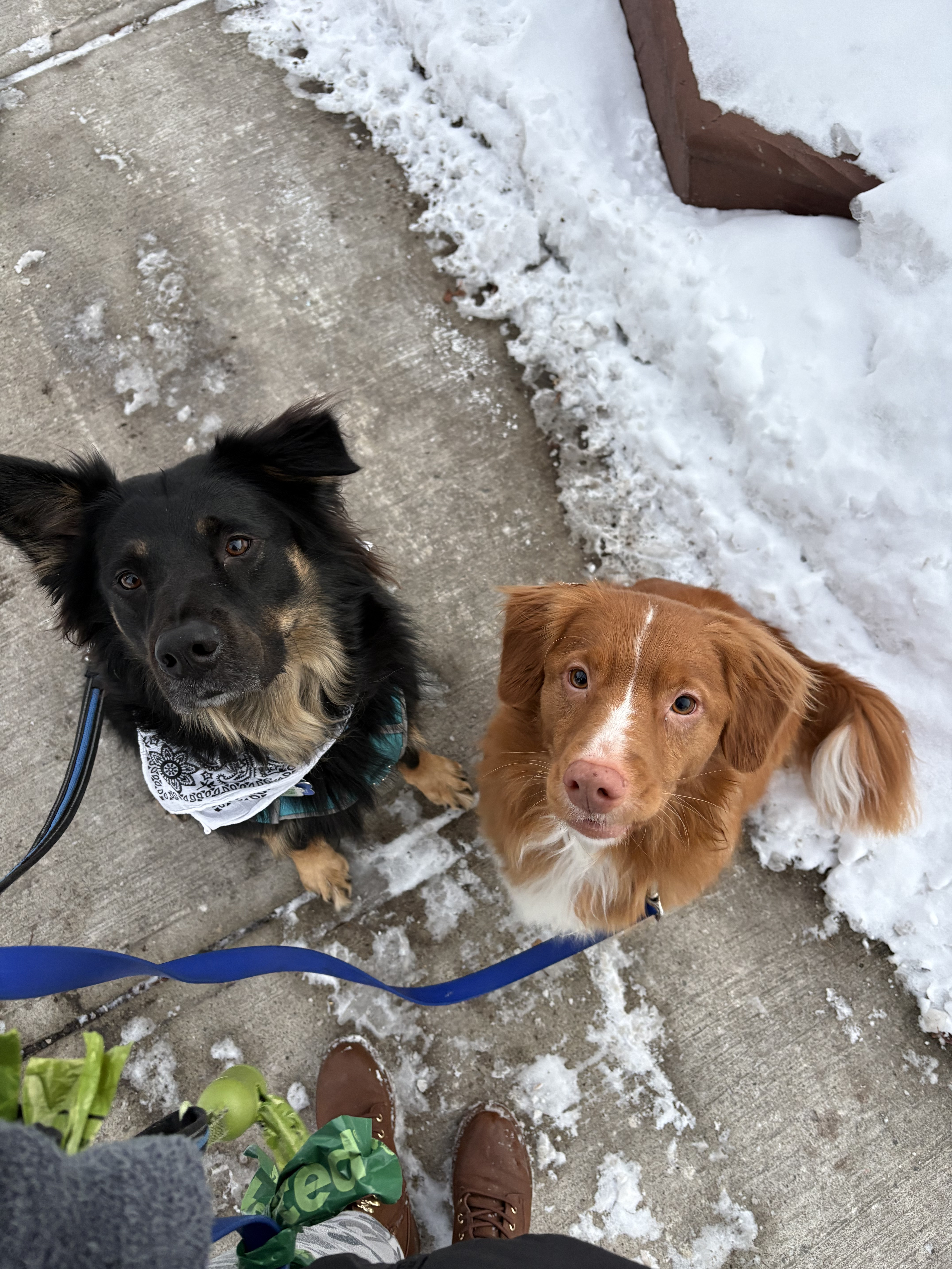 Private Walks in Mississauga