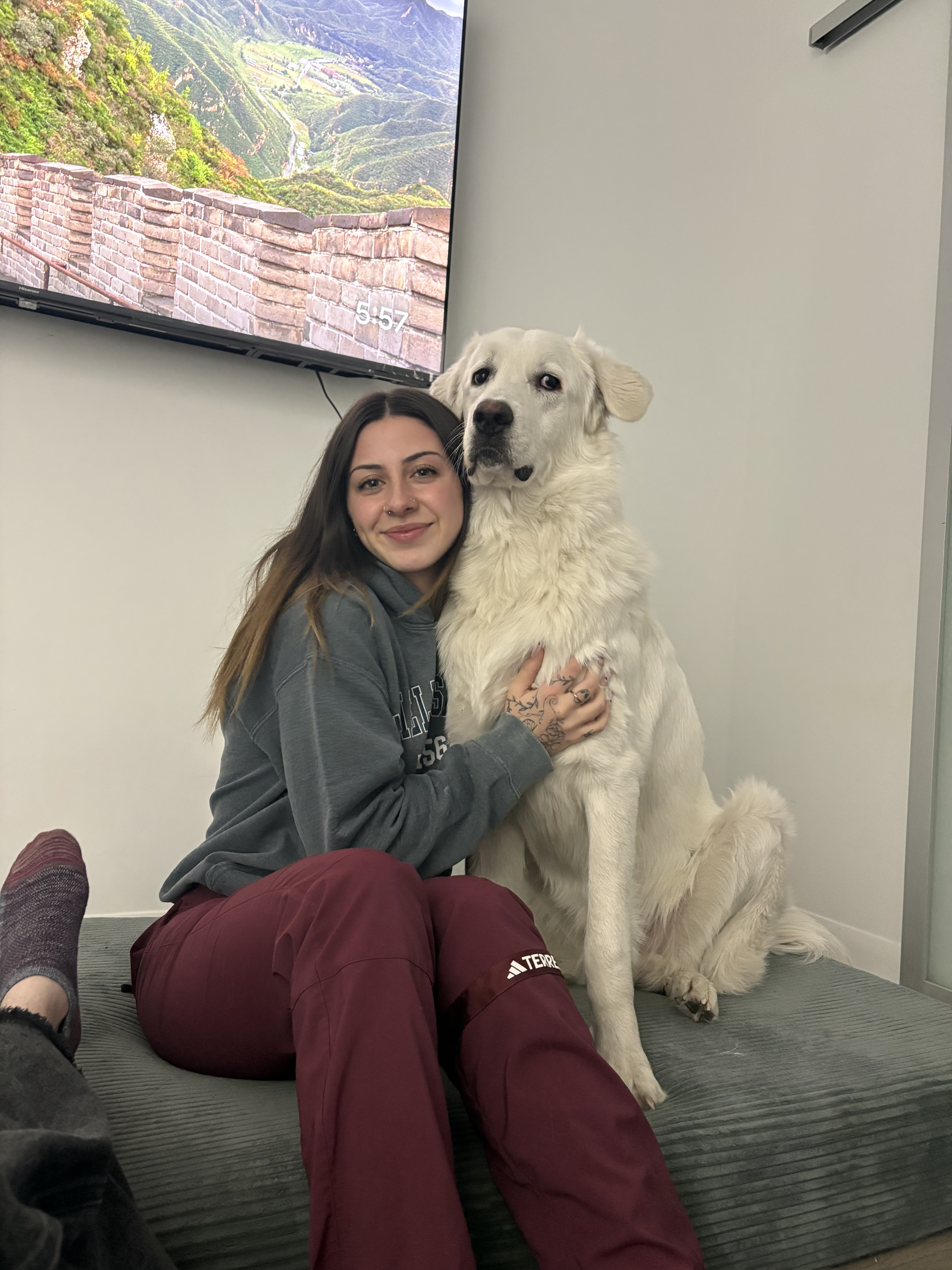 Overnight Pet Sitting Toronto